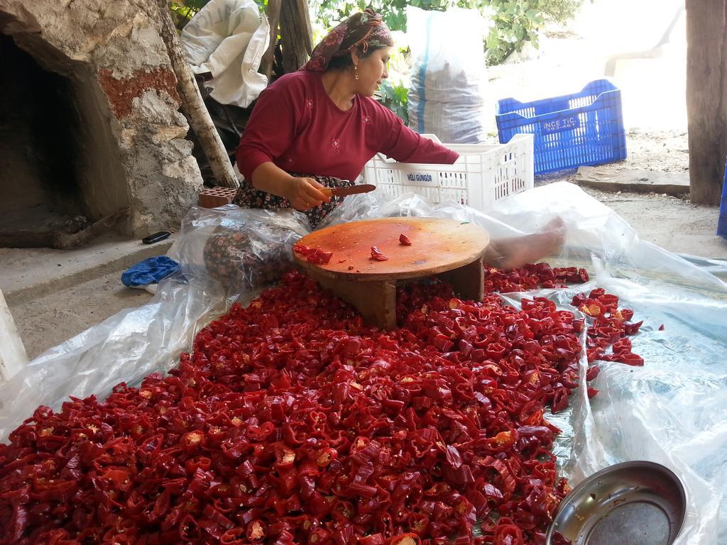 בית הארחה דמרה 	Beymelek Tas Evler מראה חיצוני תמונה
